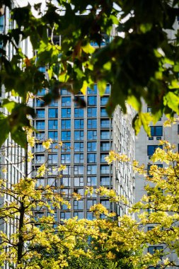 Dalların arasından modern bina