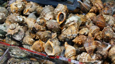 Güney Kore'de Busan Jagalchi balık pazarında Taze çiğ deniz ürünleri