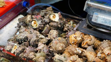 Güney Kore'de Busan Jagalchi balık pazarında Taze çiğ deniz ürünleri