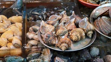 Güney Kore'de Busan Jagalchi balık pazarında Taze çiğ deniz ürünleri