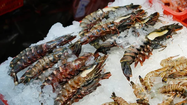 Сырые Креветки Рыбном Рынке Джагалчи Пусане Южная Корея — стоковое фото