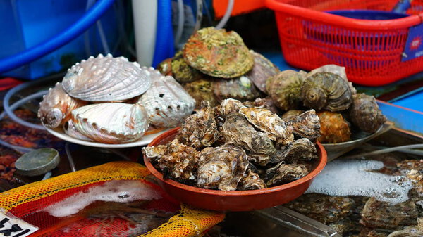 Fresh raw seafood in Jagalchi fish market in Busan in South Korea