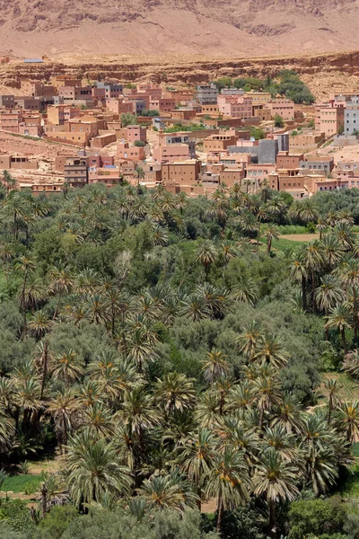 Paysage Avec Une Ancienne Ville Tinghir Une Belle Oasis Verte — Photo