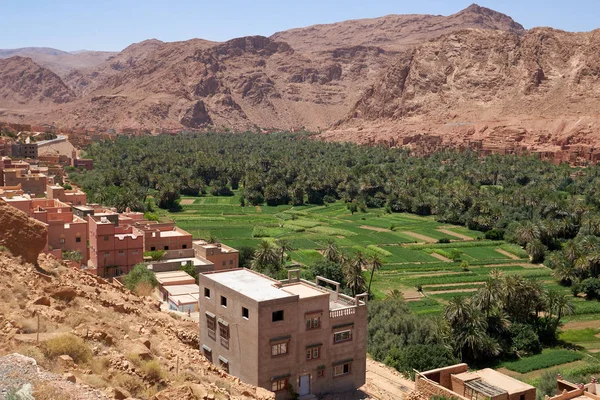 景观与古老的城镇Tinghir 一个美丽的郁郁葱葱的绿洲和棕榈树林包围在岩石阿特拉斯山脉在托德拉峡谷在摩洛哥东南部 旧柏柏尔建筑 — 图库照片