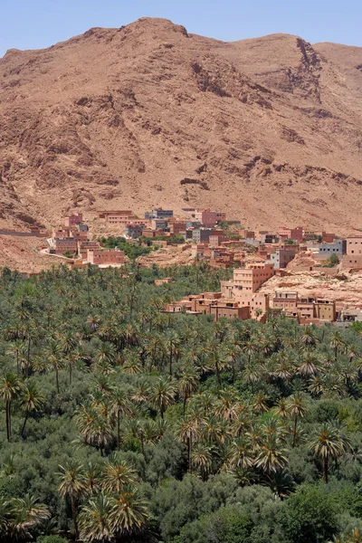 Paysage Avec Une Ancienne Ville Tinghir Une Belle Oasis Verte — Photo