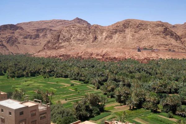 Paysage Avec Une Ancienne Ville Tinghir Une Belle Oasis Verte — Photo