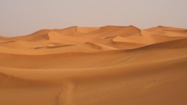 Sahra Çölü, Fas 'ta çok güzel kum tepeleri olan bir manzara..                               