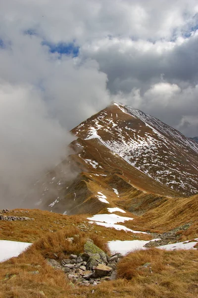 Herfst Mistige Dag Tatra Gebergte Slowakije — Stockfoto