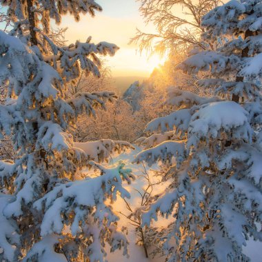 Güney Ural dağlarında harika gün batımı. Ağaçların arasından dağ manzarası.