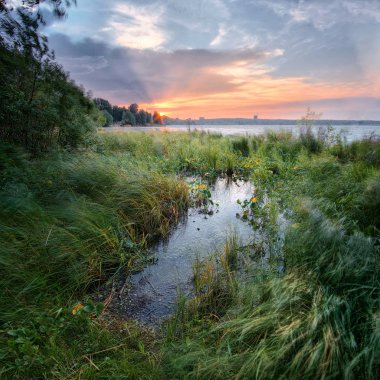 Güçlü rüzgar çim görevini yerine getirmektedir. Güzel gün batımı göl Shartash üzerinde. Yekaterinburg. Ural. Rusya.