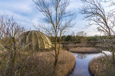 Ağaçkakan çok eski bir discoteque Cervia İtalya, 80'li yıllarda bir yangında yok oldu. Şimdi geriye kalan tek terk edilmiş bir yapıdır