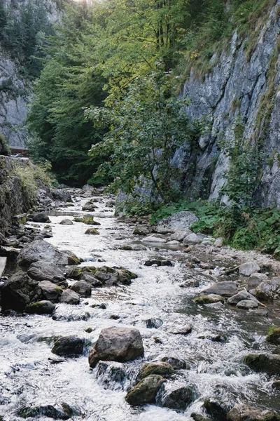 Small Mountain Stream Bicaz Gorge Cheile Bicazului Hasmas National Park — Stock Photo, Image