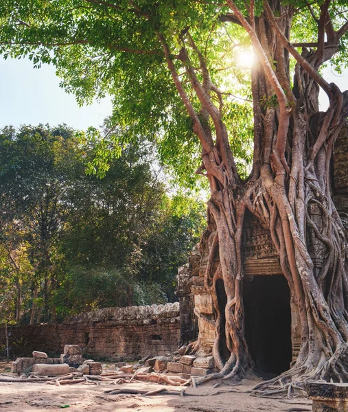 Templo Som Complejo Angkor Siem Reap Camboya Antigua Arquitectura Jemer — Foto de Stock