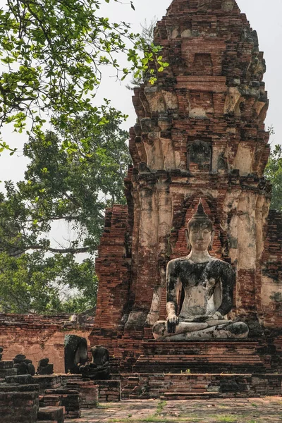Socha Buddhy Buddhistický Chrám Wat Maha Ayutthaya Historický Park Thajsko — Stock fotografie