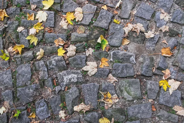 Vue Dessus Une Route Pavée Avec Des Feuilles Automne Tombées — Photo