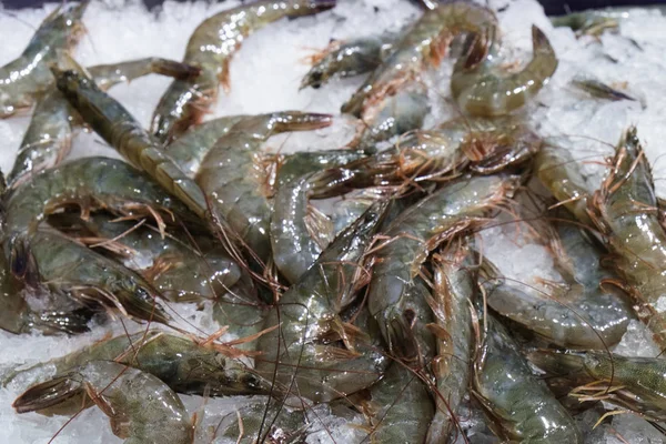 Gamberetti crudi sul ghiaccio. Contesto alimentare . — Foto Stock