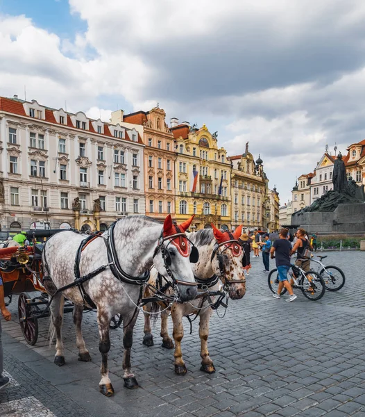 在布拉格等待游客的马车 — 图库照片