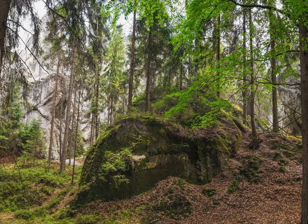 Parque Nacional de Adrspach na República Checa, Europa — Fotografia de Stock