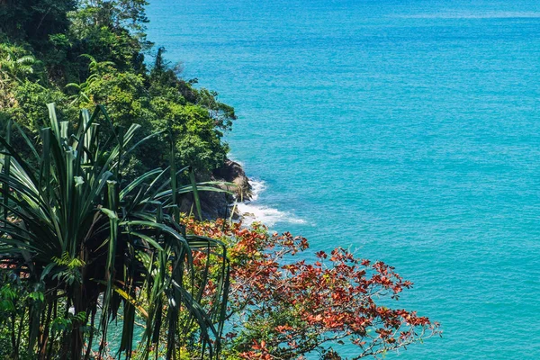 Top view to the tropical trees and blue sea — Stock Photo, Image