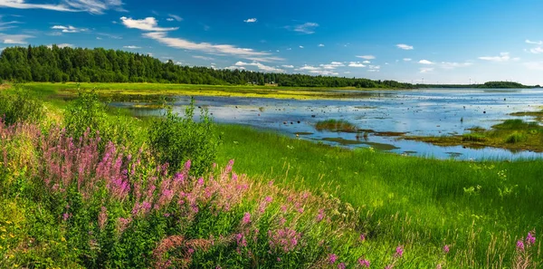Norrbotten, İsveç'te doğal yaz manzarası Stok Fotoğraf