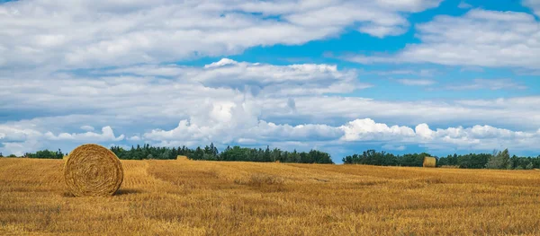 Paisaje rural pajar seco en República Checa — Foto de Stock