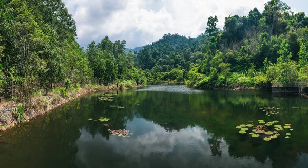 Liten flod i ljusa tropikerna i Thailand — Stockfoto