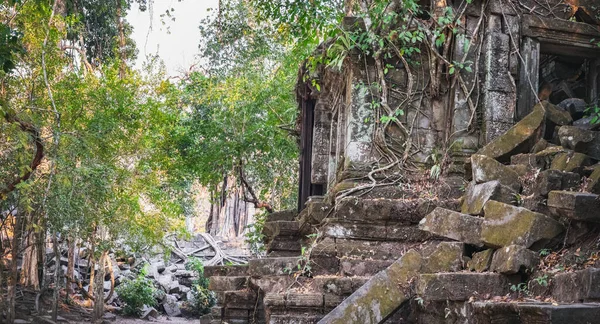 Templo Prasat Beng Mealea Complejo Angkor Siem Reap Camboya Hermosas — Foto de Stock