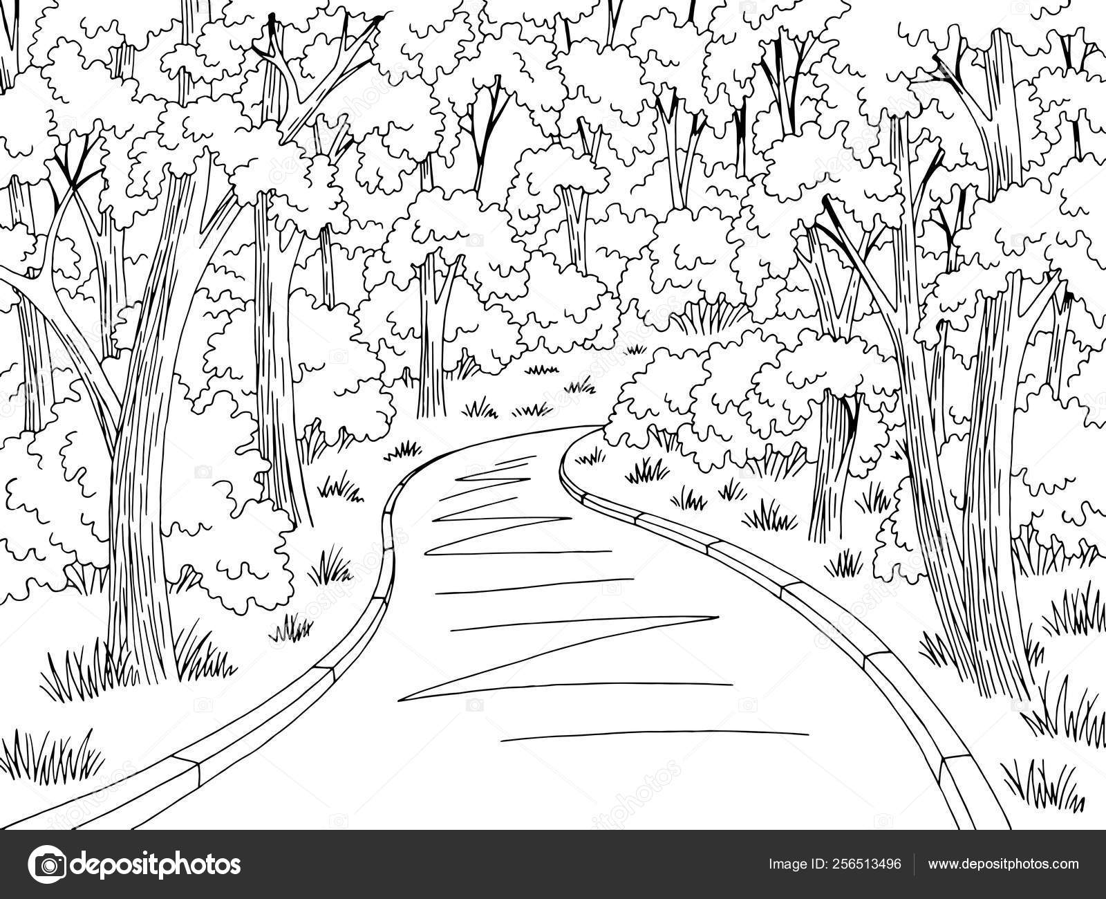 Forest Road Graphic Black White Landscape Sketch Illustration Vector Vector Image By C Aluna11 Vector Stock Forest Road Graphic Black White Landscape Sketch Illustration Vector Vector Image By C Aluna11 Vector Stock