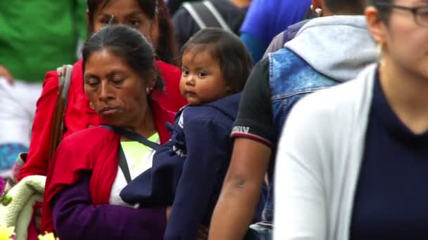 Chiapas México Circa Agosto 2018 Moción Lenta Mujer Indígena Cargando — Vídeo de stock