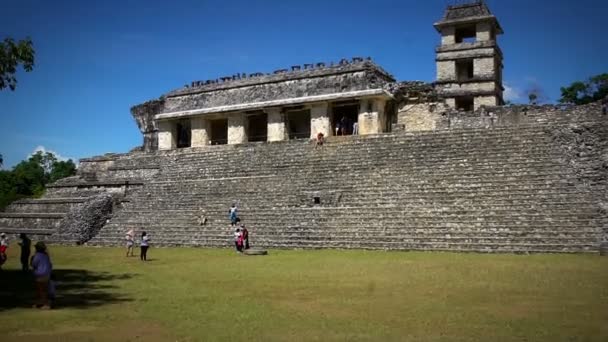 Turisták számára, gyönyörködni a palota a Palenque régészeti zónában. — Stock videók