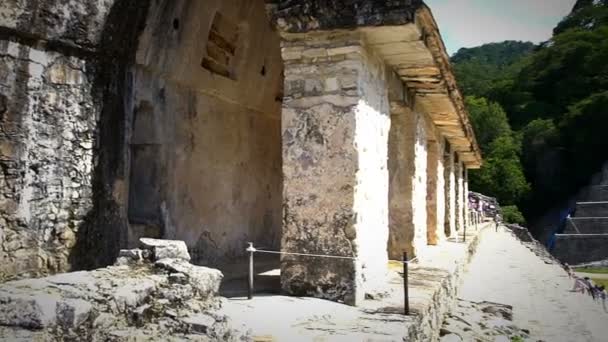 Jaguar του ναού και το Palace στην αρχαιολογική ζώνη του Palenque. — Αρχείο Βίντεο