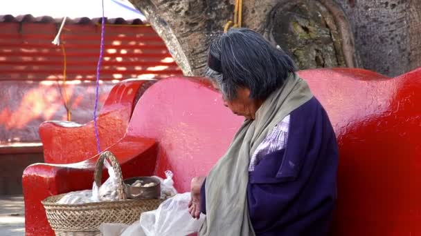 Yaşlı kadın onun sepeti satmak için fıstık ile doldurur.. — Stok video