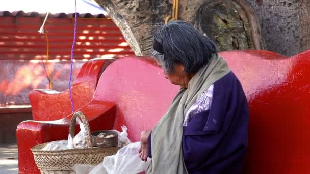 Old woman fills her basket with peanuts to sell. — Stock Video