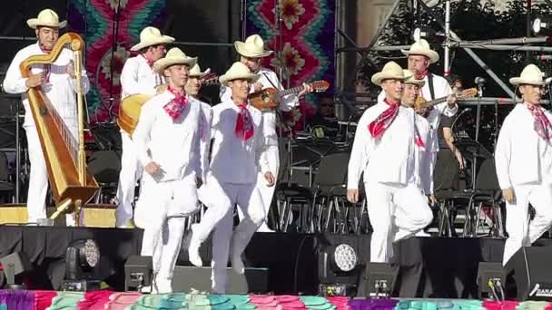 Cidade México Mex 2018 Dançarinos Realizar Dança Folclórica Tradicional Veracruz — Vídeo de Stock