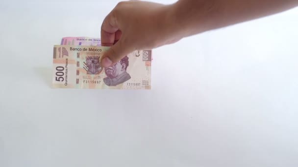 Några Olika Mexikanska Peso Räkningar Hysas Hand — Stockvideo