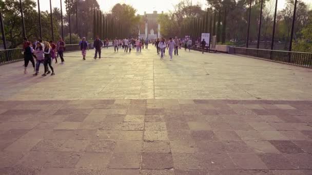 Mexico Şehri Temmuz 2019 Aileler Insanlar Chapultepec Parkında Güneşli Bir — Stok video