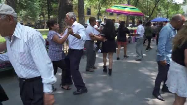Mexico City Circa 2019 나이든 어른들이 공원에서 춤추는 즐긴다 정부는 — 비디오