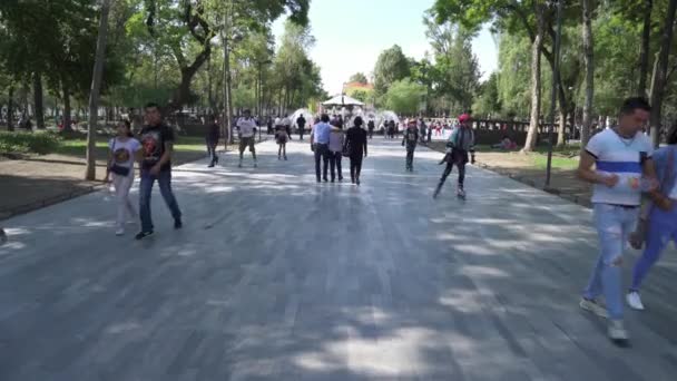 Mexico City Circa 2019 Many Families Enjoy Sunny Afternoon Walking — Stock Video