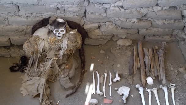 Ica Peru Dec 2019 Een Mummie Begeleid Door Enkele Botten — Stockvideo