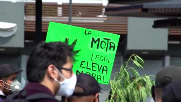 Ciudad México Septiembre 2020 Una Pancarta Con Una Hoja Hierba — Vídeo de stock