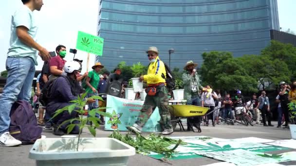 Mexico Şehri Eylül 2020 Protestocular Marihuanayı Yasallaştırmak Için Bir Hoparlör — Stok video