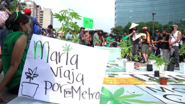 Mexico City Sept 2020 Protesters Listening Speaker Protest Legalize Marijuana — Stock Video