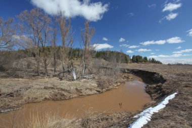Bahar Nehri kıyısında karla 