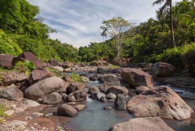 Yeşillik ve palmiye ağaçları ile tropikal bir dere içinde büyük taşlar