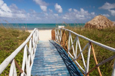 Plaj tropikal deniz ahşap köprü