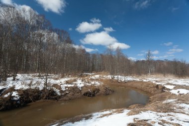 Bahar Nehri yakınında mavi gökyüzü ile orman