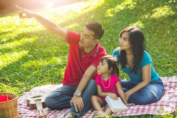 Piknik bir park. Bir şey ailesi için gösterilen baba parmağını yukarı dönük