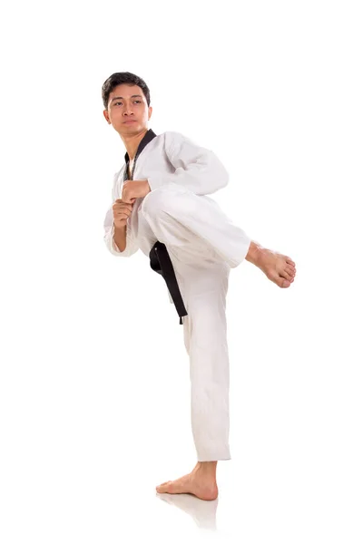 Male martial artist ready to kick, full length shot — Stock Photo, Image
