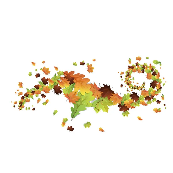 Akçaağaç yaprakları. Meşe yaprakları. Sonbahar yaprakları tasarım elemanları - Vektör
