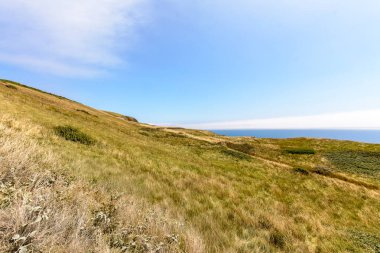 Dorset alanlarında bir, Dorset yatay yaz 2018
